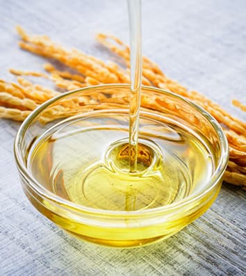 Rice bran byproduct processing