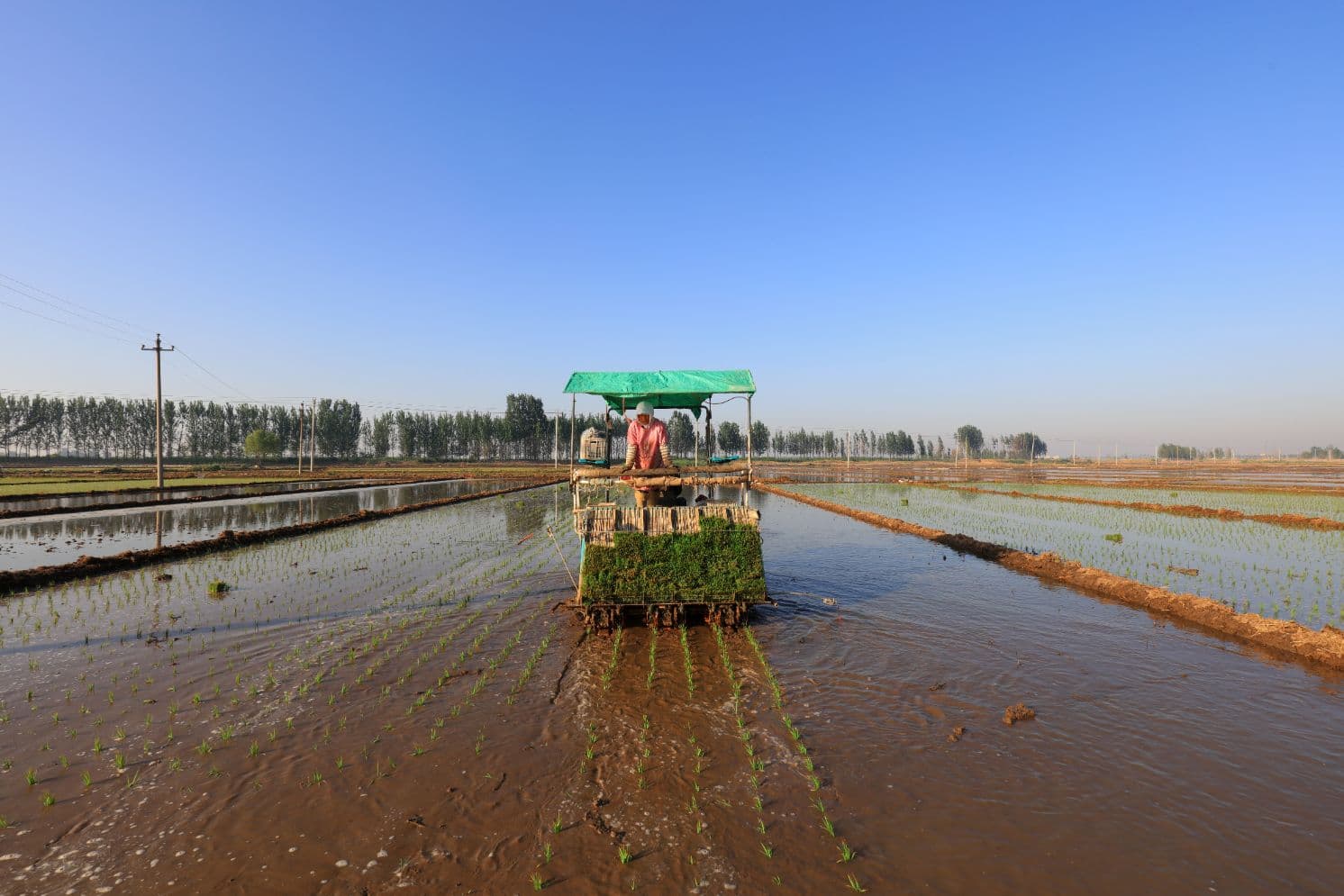 Agro-Industrial Milling Complex